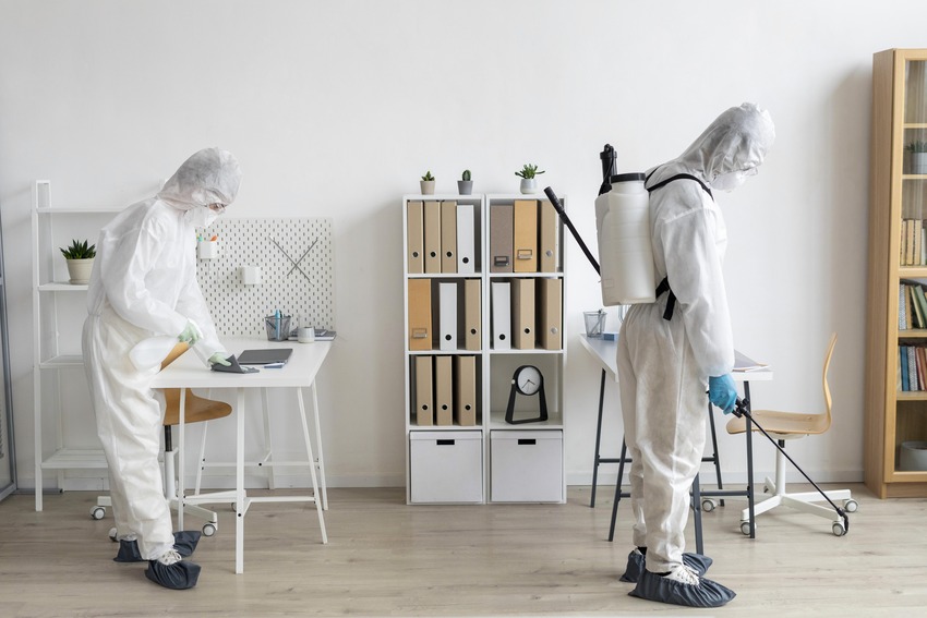 Pest Control Solutions
