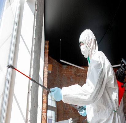 Pest Control Solutions